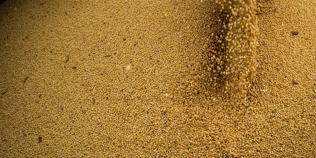 Agro cresce 11,7%, impulsiona PIB e ganha participação na economia agro-cresce-11,7%,-impulsiona-pib-e-ganha-participacao-na-economia