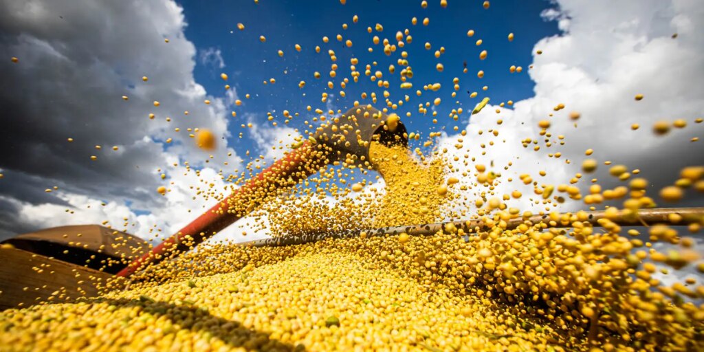 Conab: produção de grãos pode chegar a 358,6 milhões de toneladas conab:-producao-de-graos-pode-chegar-a-358,6-milhoes-de-toneladas