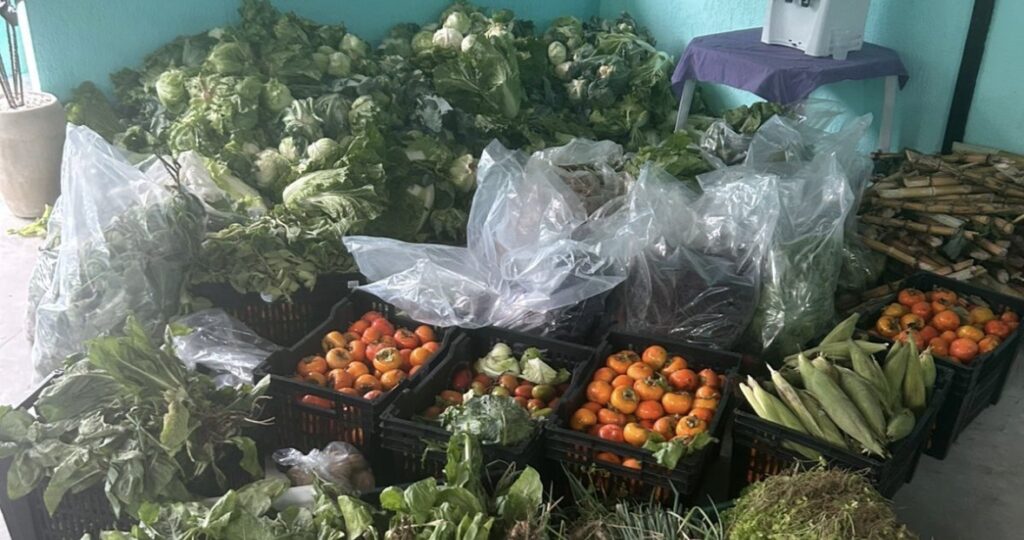Rede ICAA fortalece 150 Cozinhas Ancestrais e Solidárias e amplia ações de combate à fome no Estado do Rio.