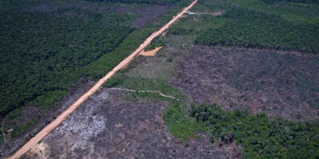 Eco Invest Brasil promove quinto leilão para financiar inovação eco-invest-brasil-promove-quinto-leilao-para-financiar-inovacao