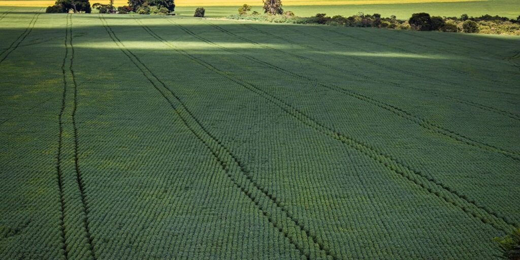 Senado aprova plano para fabricação de fertilizantes no Brasil senado-aprova-plano-para-fabricacao-de-fertilizantes-no-brasil