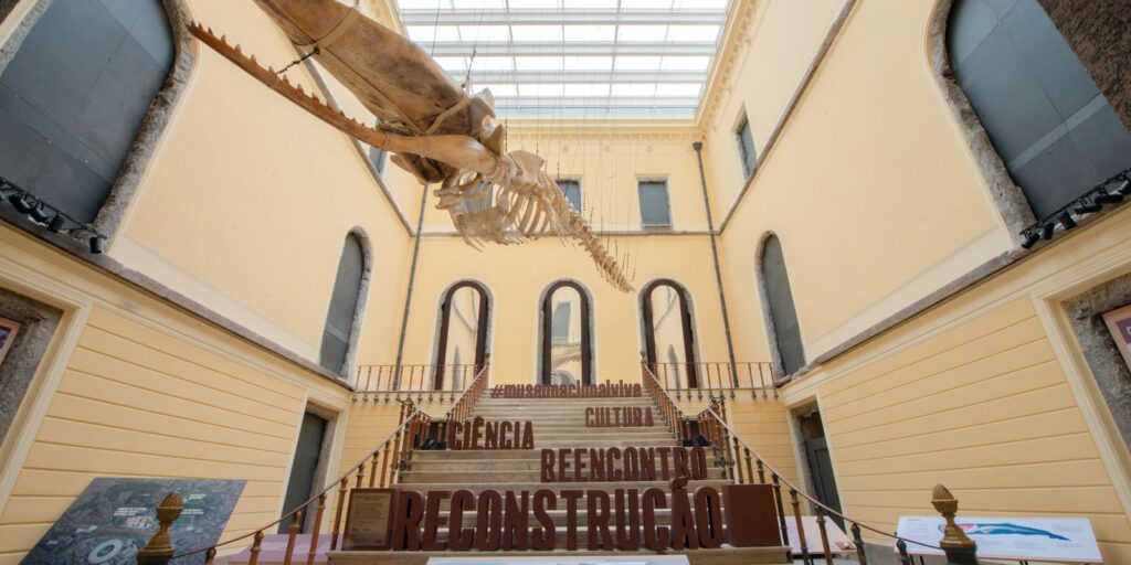 Museu Nacional reúne povos quilombolas no esforço de reconstrução museu-nacional-reune-povos-quilombolas-no-esforco-de-reconstrucao